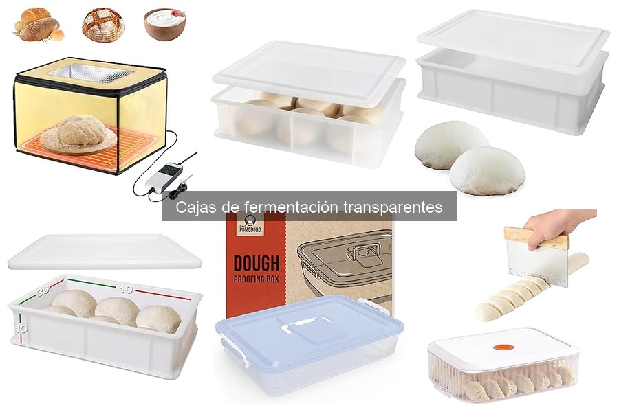 Precios de Cajas de Fermentación Transparentes y Dónde Comprarlas