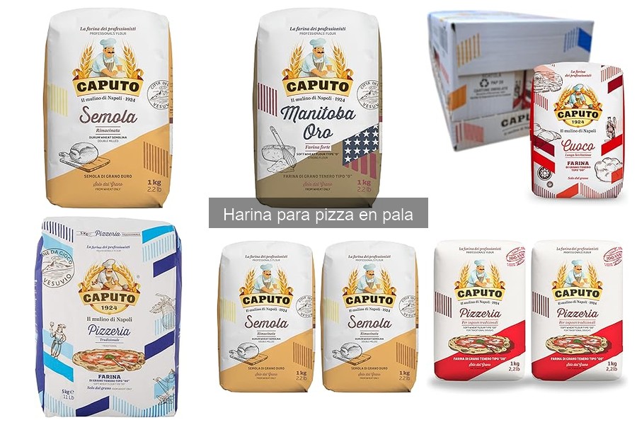 Problemas comunes al usar harina para pizza y soluciones