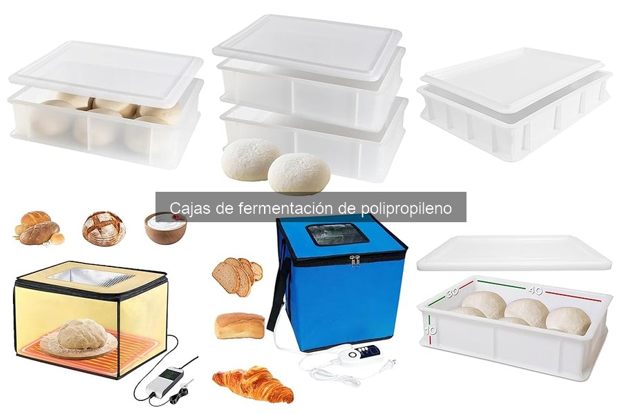 ¿Qué es una caja de fermentación de polipropileno?