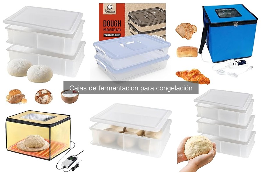 ¿Qué es una caja de fermentación para congelación?