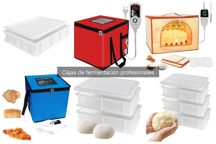¿Qué es una caja de fermentación profesional para pizza?