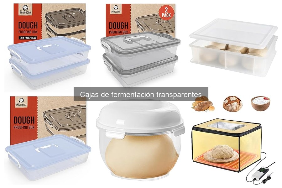 ¿Qué son las cajas de fermentación transparentes para pizza?