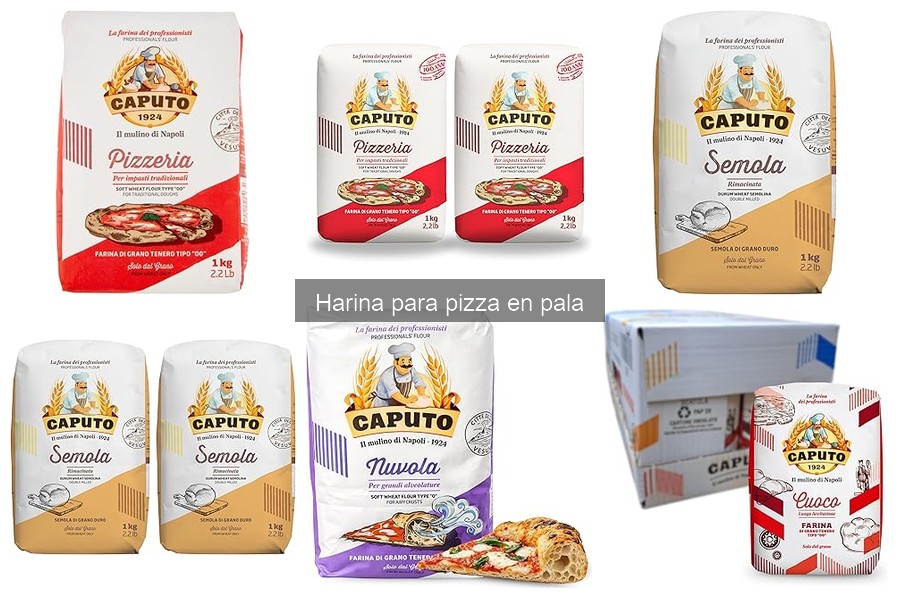 ¿Qué tipo de harina usar para hacer pizza en casa?