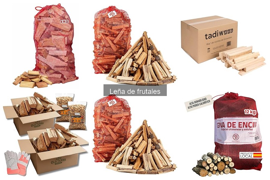 Recetas de Pizzas con Leña de Frutales para Sabor Único
