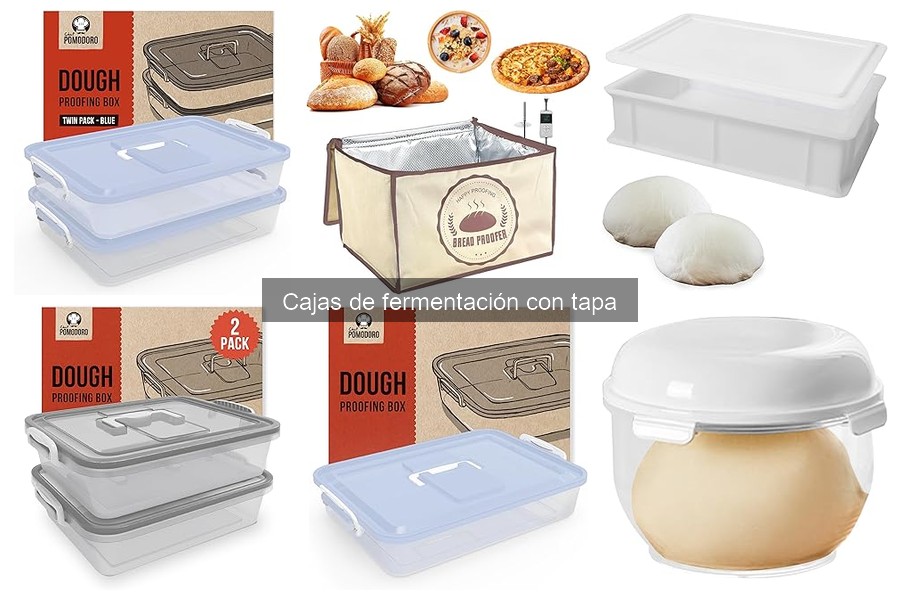 ¿Se Puede Usar una Caja de Fermentación con Tapa para Otras Masas?