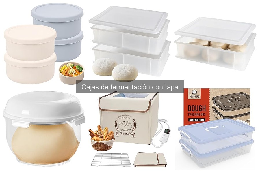 Soluciona problemas comunes con cajas de fermentación con tapa