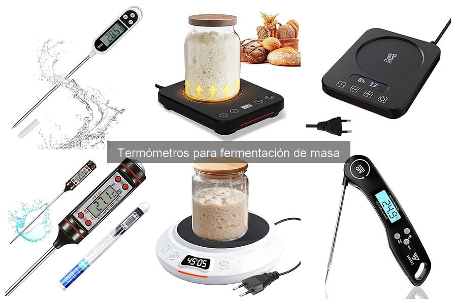 Termómetro para Fermentación de Masa: Guía Esencial
