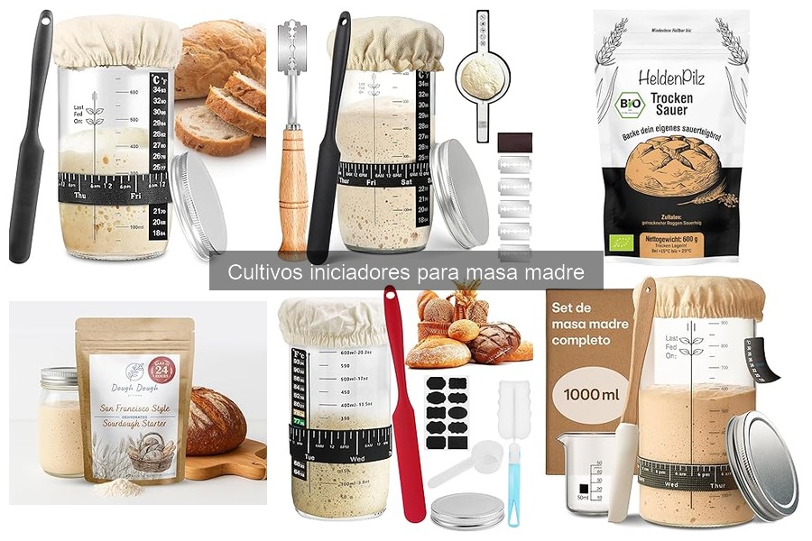 Tipos de cultivos iniciadores para masa madre: guía completa