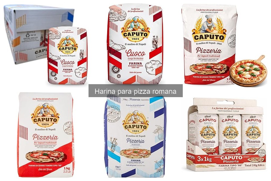 Tipos de harina para hacer pizza romana: guía completa