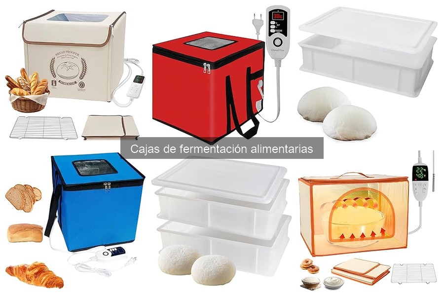 ¿Vale la pena una caja de fermentación para pizza?