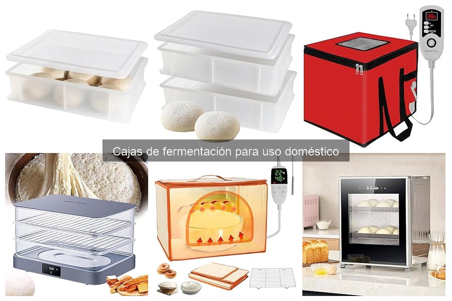 Ventajas de usar cajas de fermentación en casa para pizza