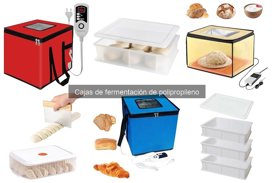 Ventajas y desventajas de cajas de fermentación de polipropileno