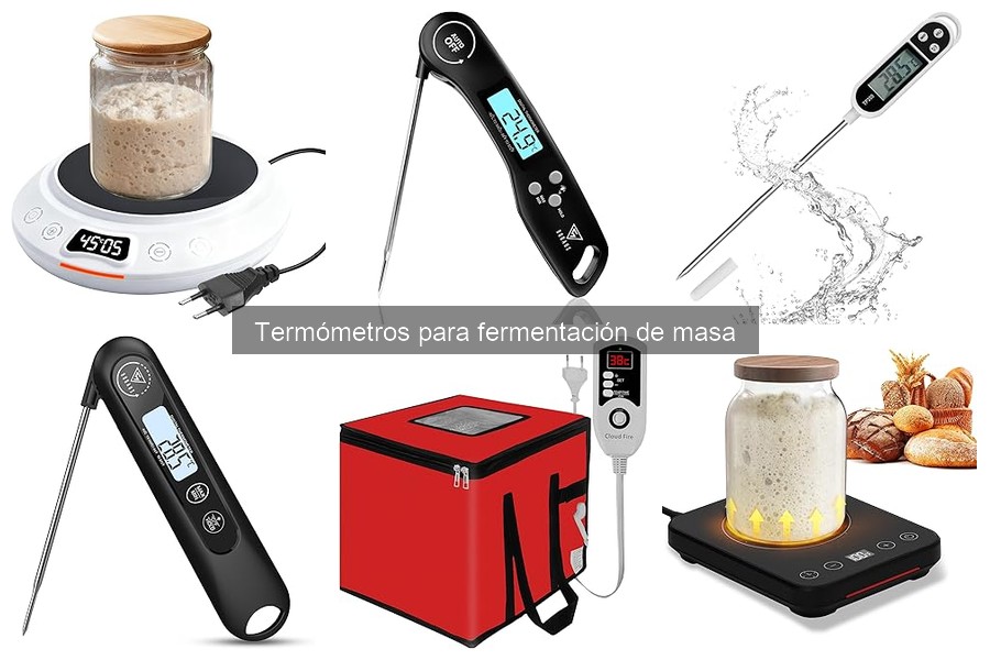 Ventajas y Desventajas de Termómetros de Fermentación